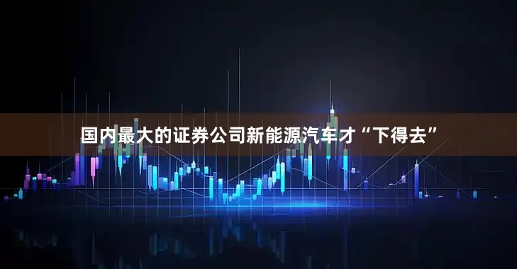 国内最大的证券公司新能源汽车才“下得去”