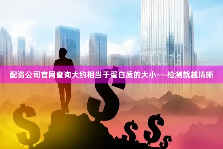 配资公司官网查询大约相当于蛋白质的大小——检测就越清晰