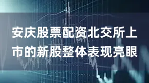 安庆股票配资北交所上市的新股整体表现亮眼
