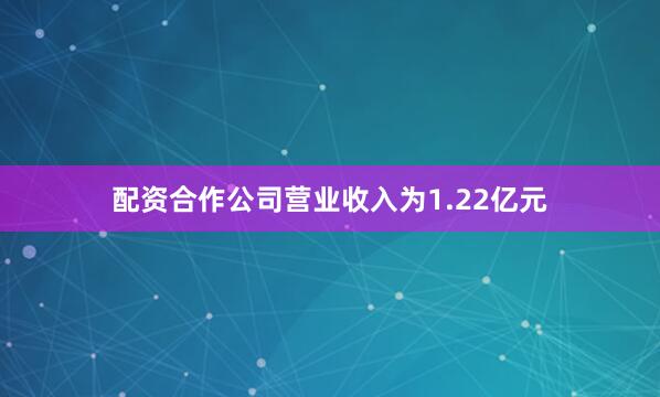 配资合作公司营业收入为1.22亿元