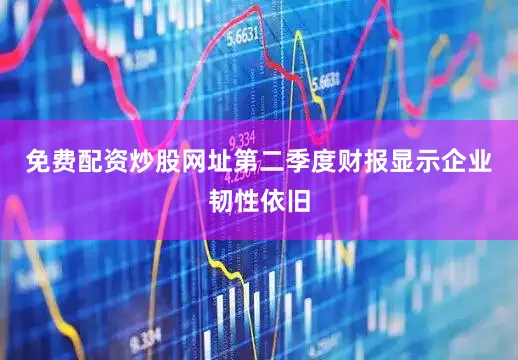 免费配资炒股网址第二季度财报显示企业韧性依旧